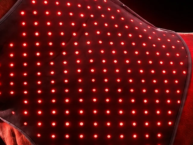 Close view of a regular grid of glowing red light emitters set into dark fabric.
