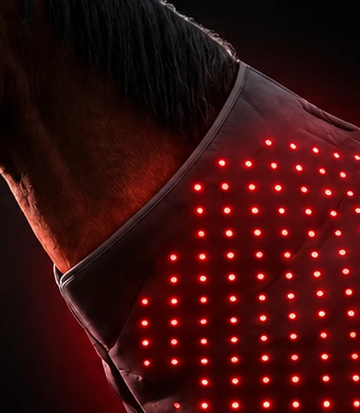 The collar edge of the panel following the line of the horse's neck and shoulder.
